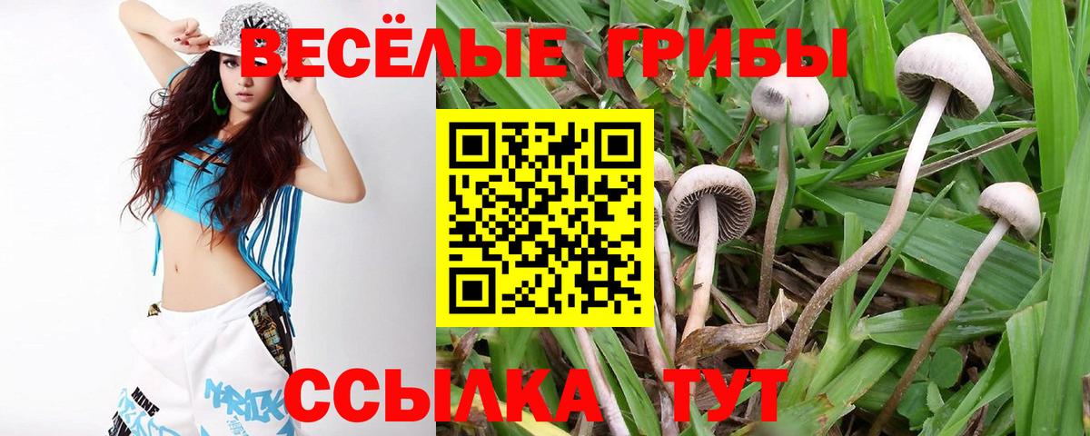 Псилоцибиновые грибы ЛСД  наркотики  Владимир  Вход с VPN 